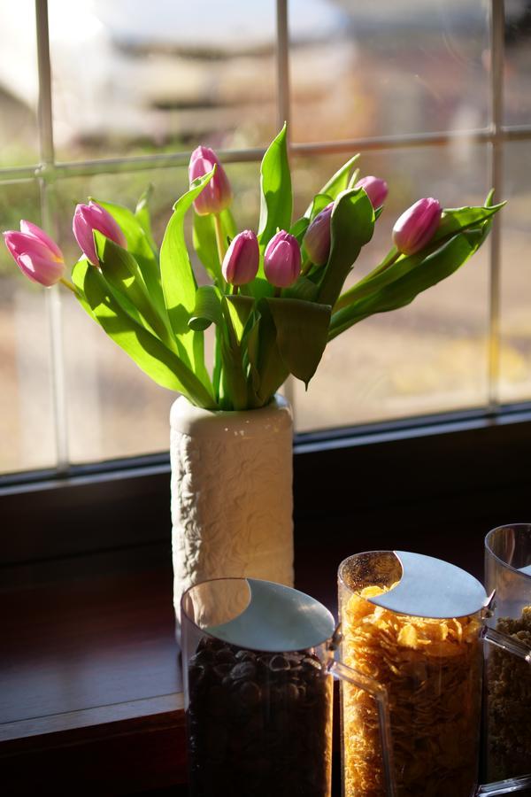Parkhotel Bergheim Eksteriør billede